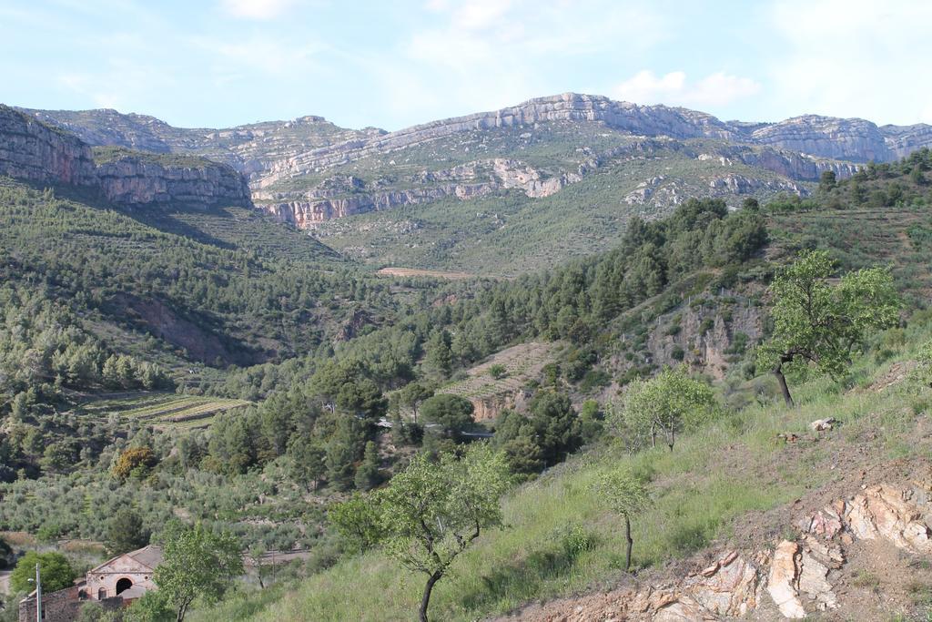 Cal Millo Villa Vilella Alta Dış mekan fotoğraf